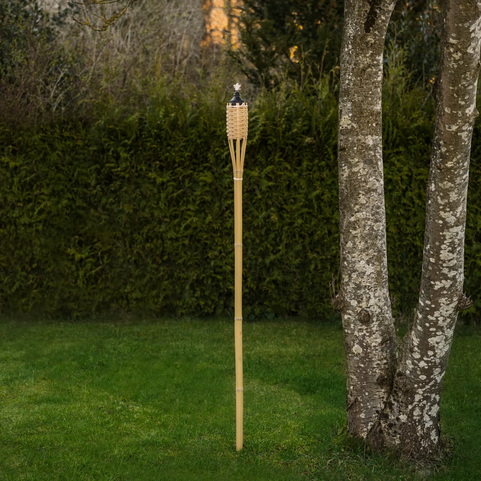 Moreland Bambusfakkel natur 150cm