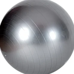 Moreland Ironmaster gymnastikbold 65 med pumpe