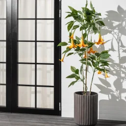 Homeville Kunstig Daturatræ orange 160 cm