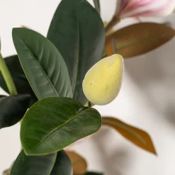Homeville Kunstig magnoliatræ 160 cm