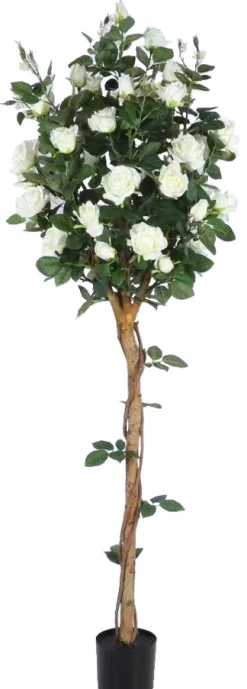 Homeville Kunstig Rosetræ hvid 160 cm