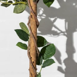 Homeville Kunstig Rosetræ hvid 160 cm