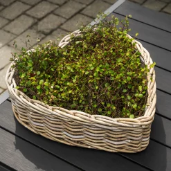 Homeville Kurv hjerteformet 42x44x13cm