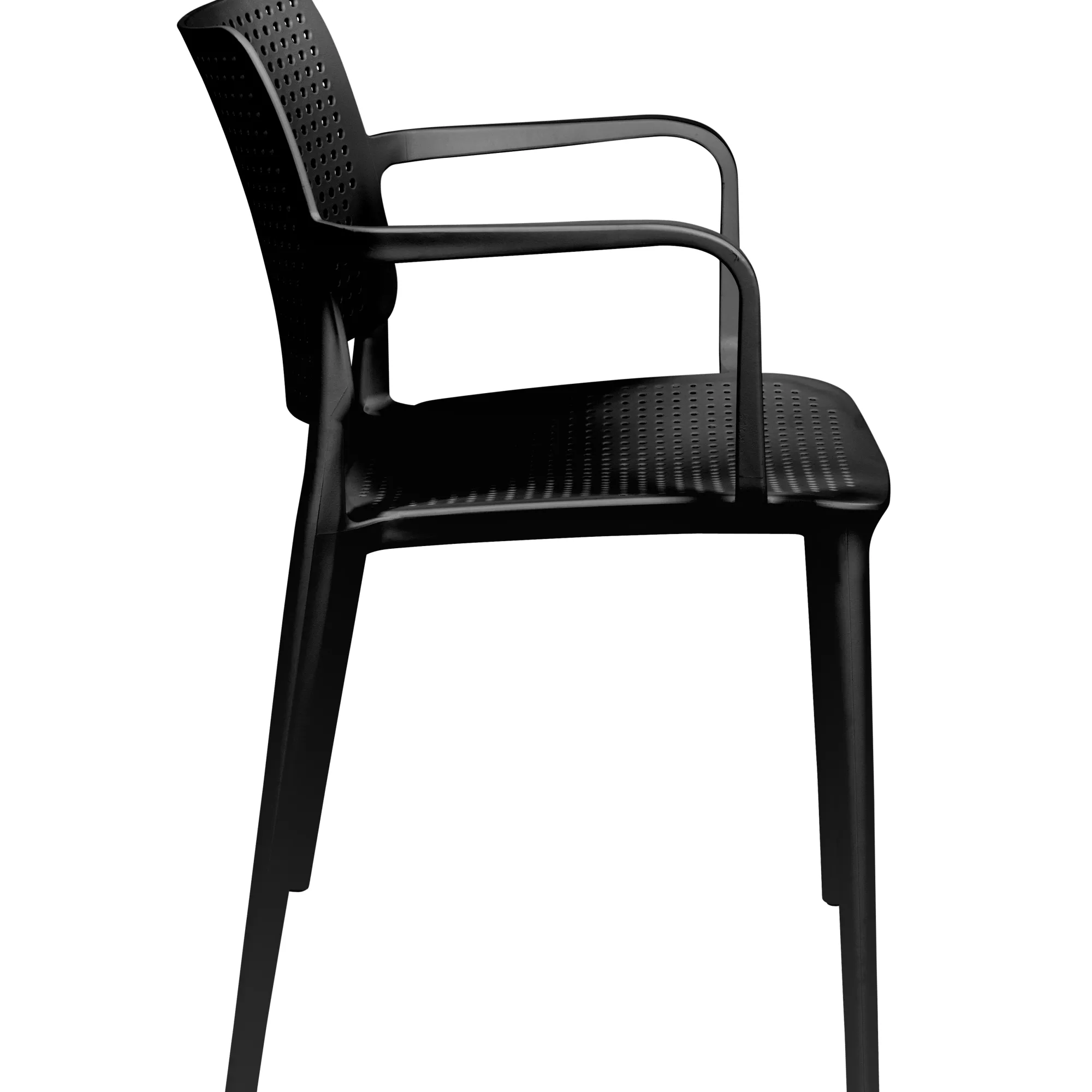 Homeville Lily sort