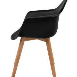 Homeville Lucas sort/natur