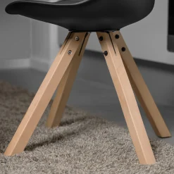 Homeville Molly sort/natur