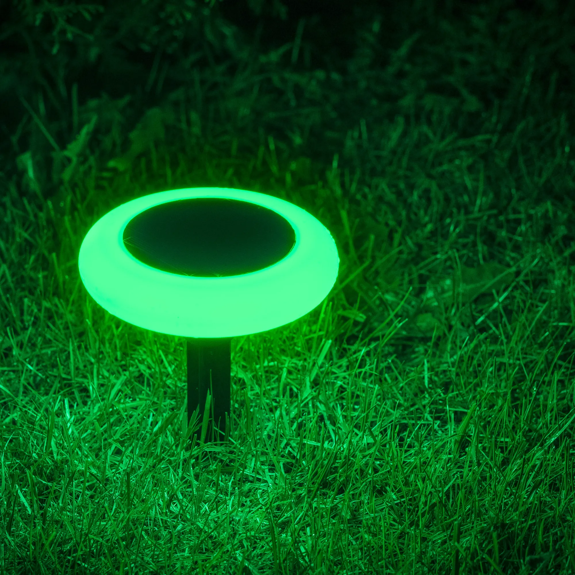 Moreland Solcellelampe Torch 10LED