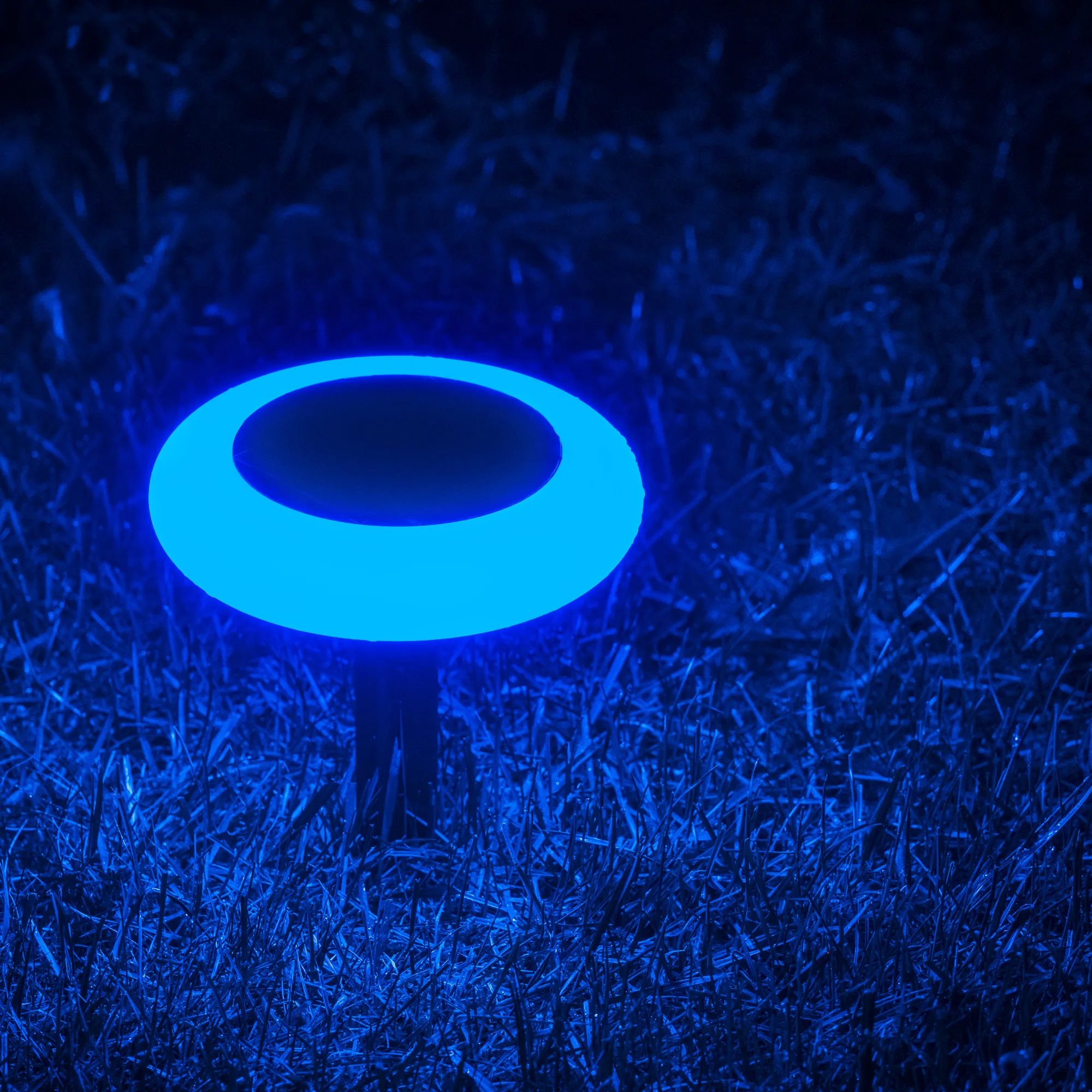 Moreland Solcellelampe Torch 10LED