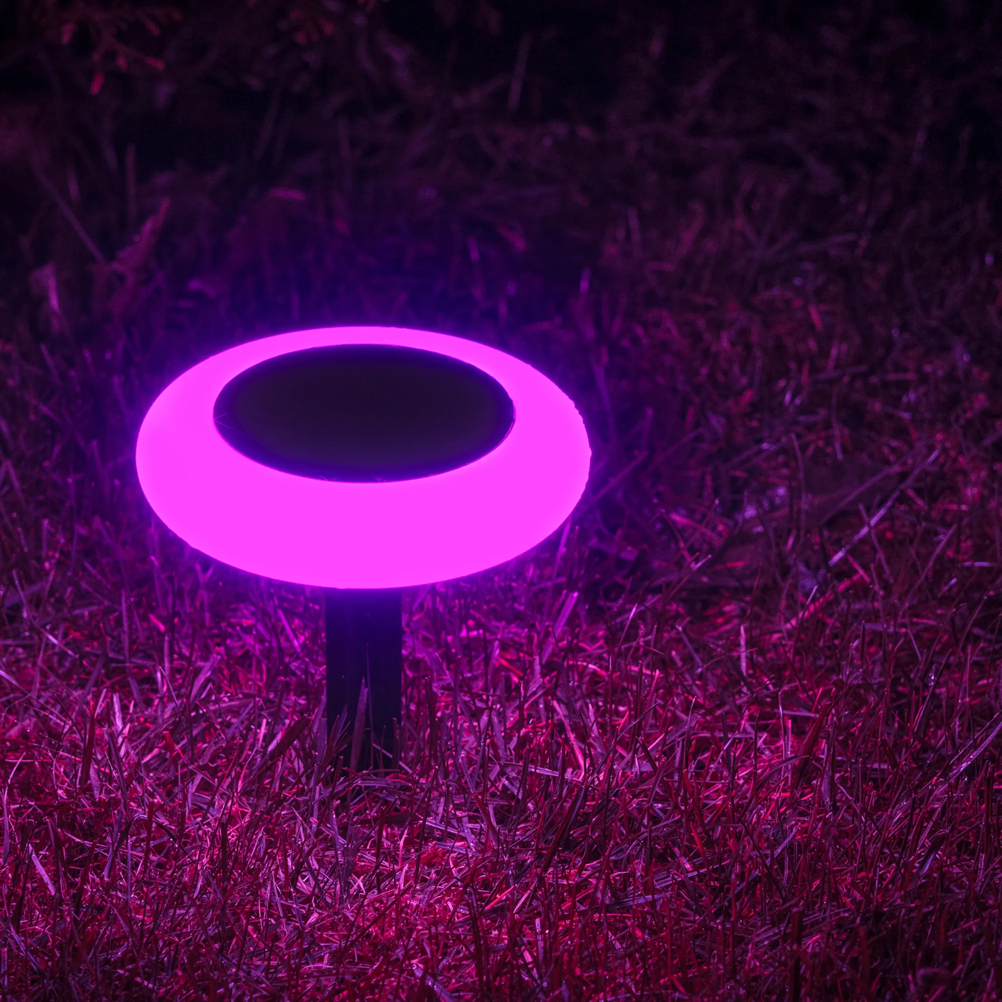 Moreland Solcellelampe Torch 10LED